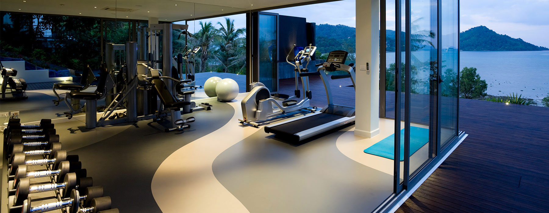 Luxurious Home Gym